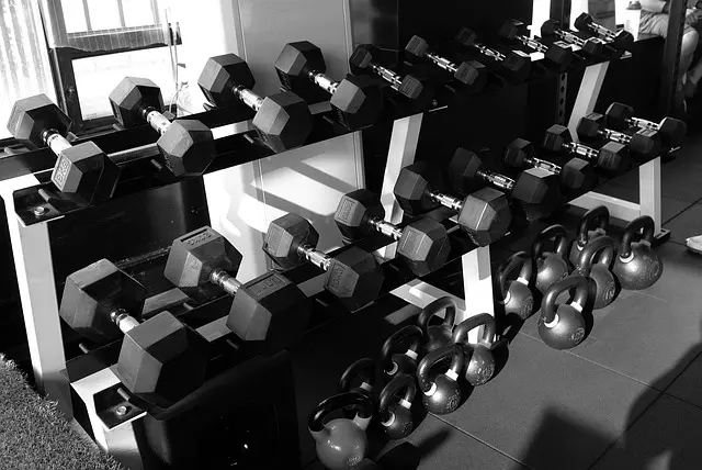 Guide d'Achat des Meilleurs Vêtements de Crossfit